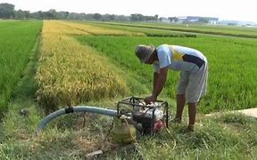 Pompa Air Untuk Mengairi Sawah